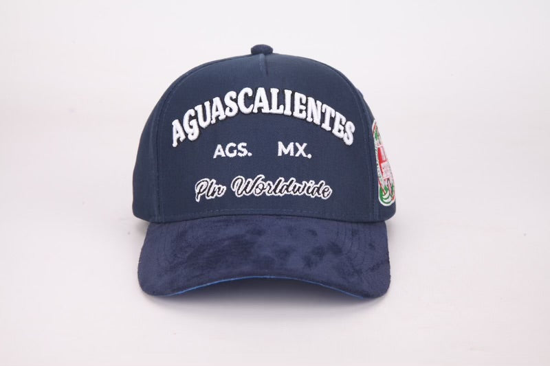 PLN AGUASCALIENTES