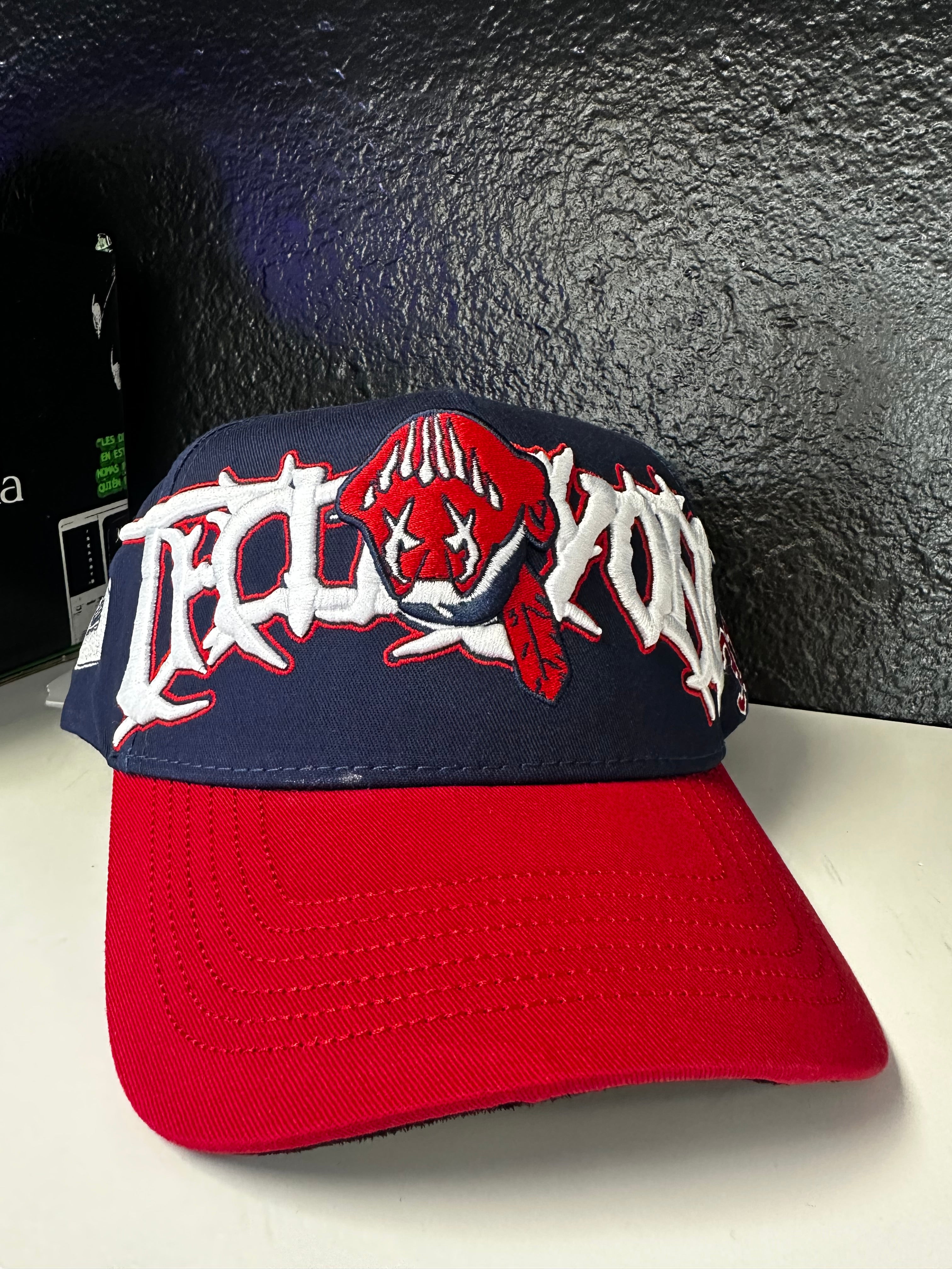 31 World Series champion hat